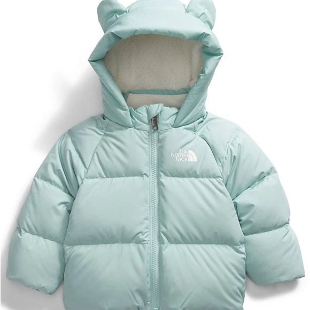 The North Face Hooded Puffer Jacket